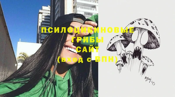 шишки Алзамай