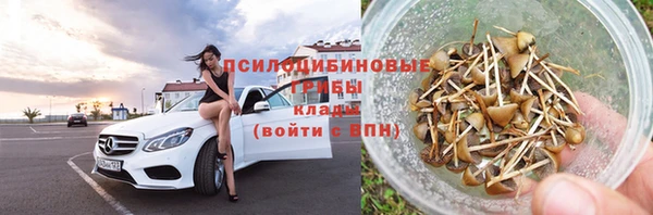 шишки Алзамай