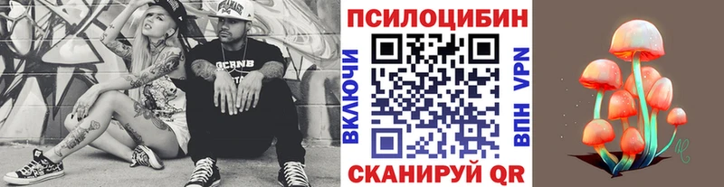 купить наркотик  Юрьев-Польский  Псилоцибиновые грибы Psilocybe 